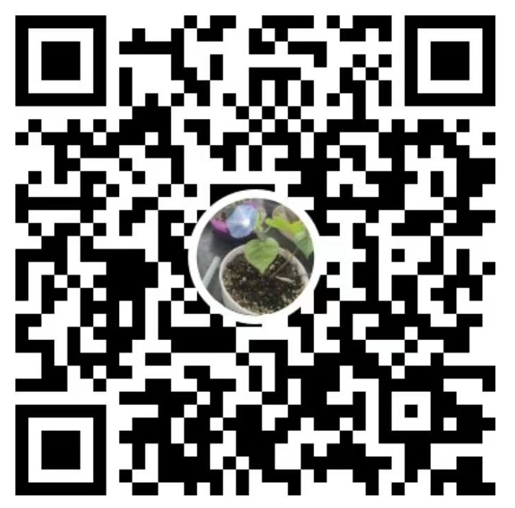 upload/20240614065412.jpg